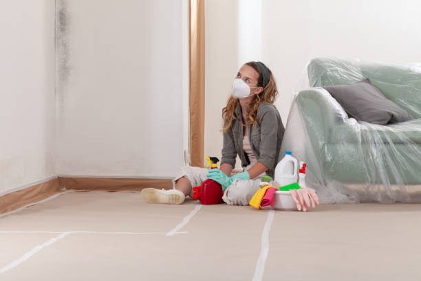 Reliable Mold Testing contractor in Palmyra, PA by WQB Mold Removal